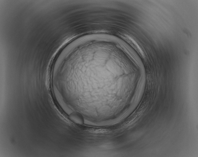 X0000116370851200912291709