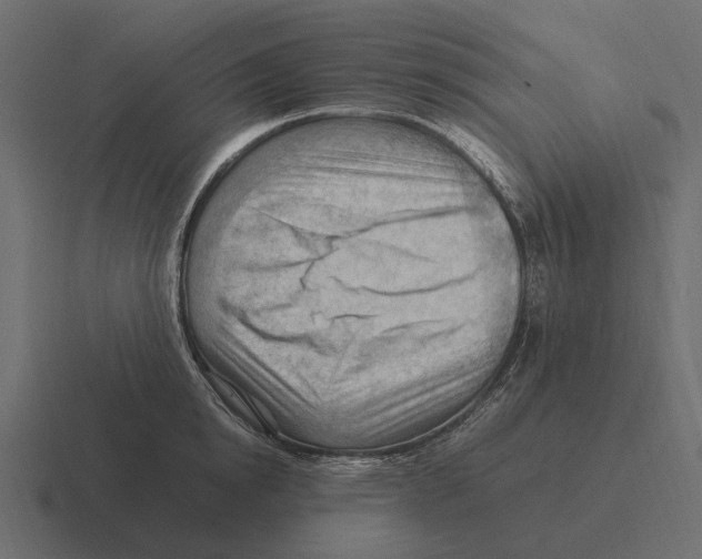 X0000116370854200912291709