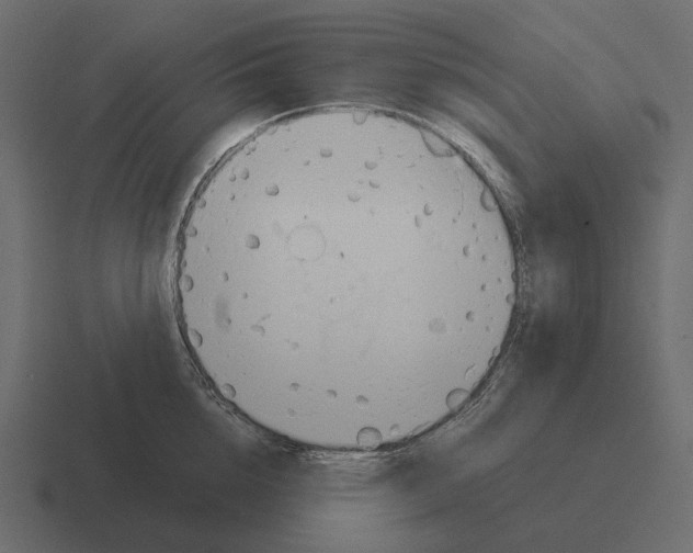 X0000116370856200912291709