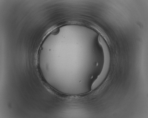 X0000116370858200912291709