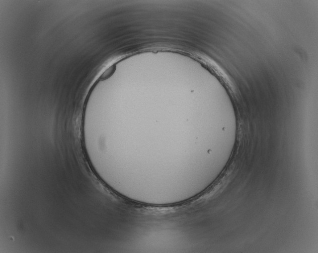 X0000116370860200912291709