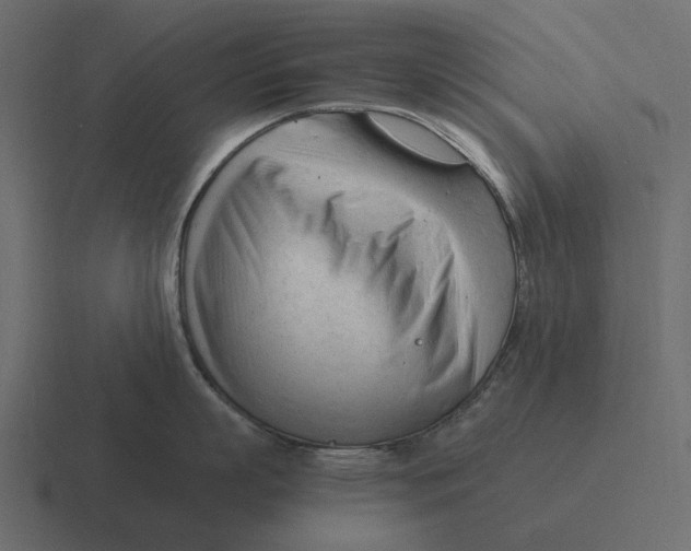 X0000116370863200912291709