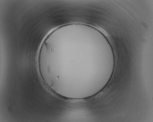 X0000116370864200912291709