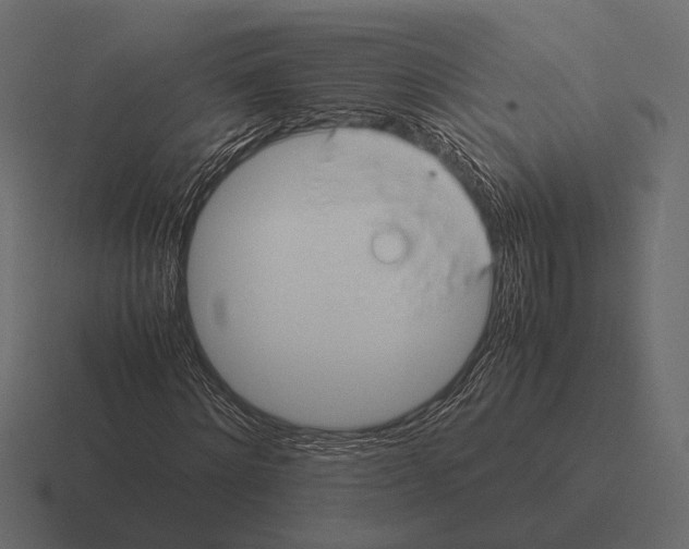 X0000116370868200912291708