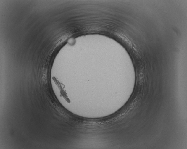 X0000116370873200912291708