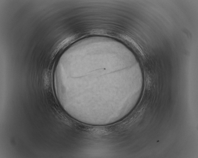 X0000116370874200912291708