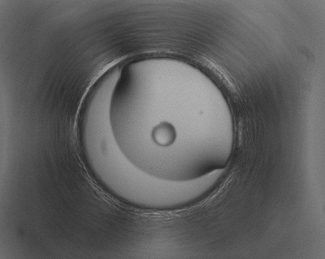 X0000116370876200912291708