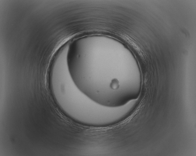 X0000116370877200912291708