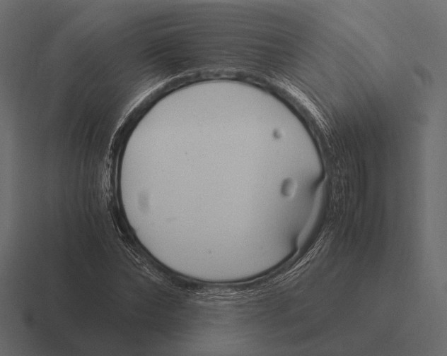 X0000116370878200912291708