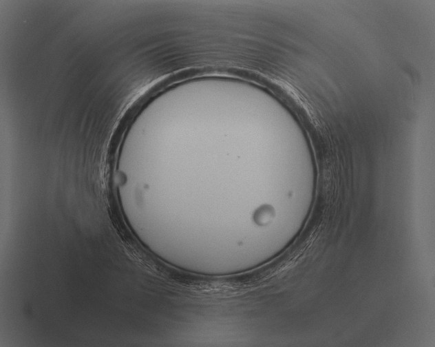 X0000116370879200912291708