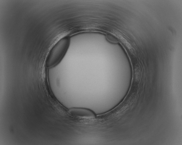 X0000116370885200912291708