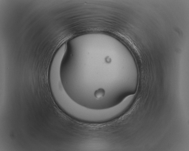 X0000116370889200912291708