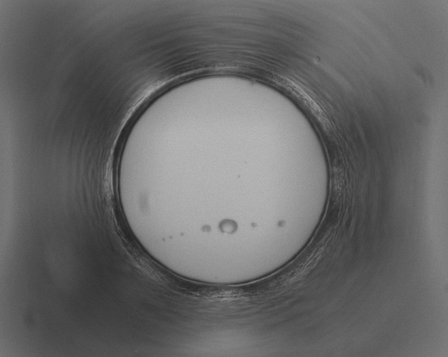 X0000116370891200912291708