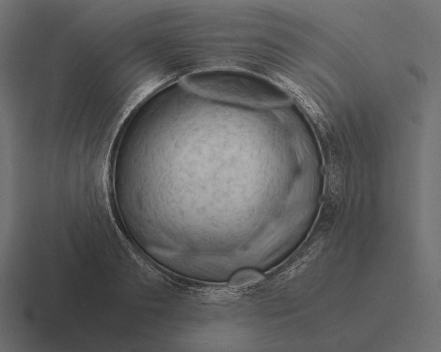 X0000116370893200912291708