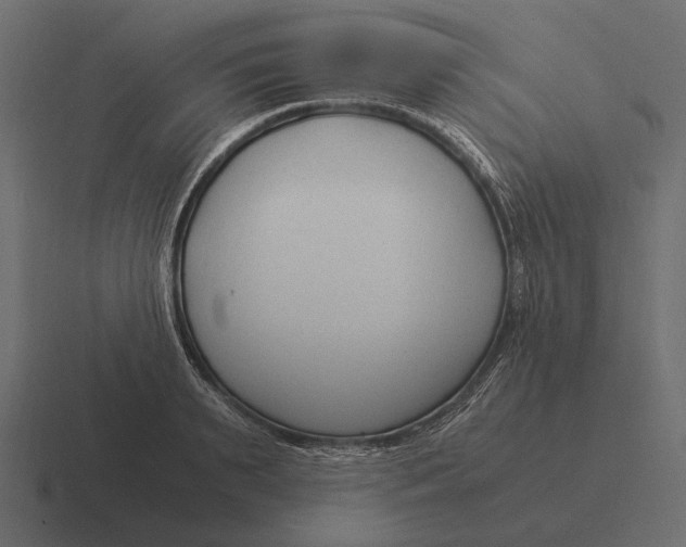 X0000116370895200912291708