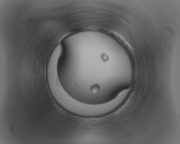 X0000116370897200912291708