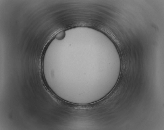 X0000116370898200912291708