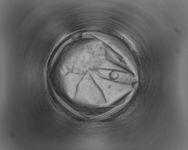 X0000116370899200912291708