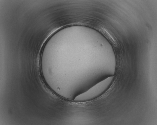 X0000116370900200912291708