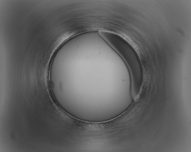 X0000116370901200912291708