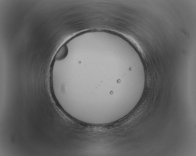 X0000116370903200912291708