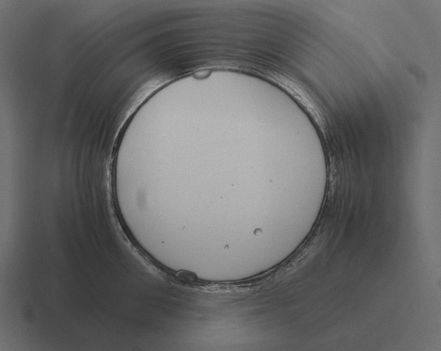 X0000116370906200912291708