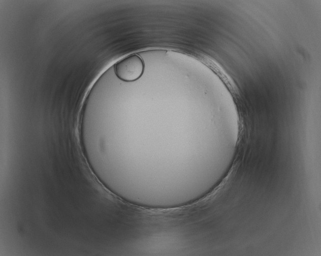 X0000116370908200912291708