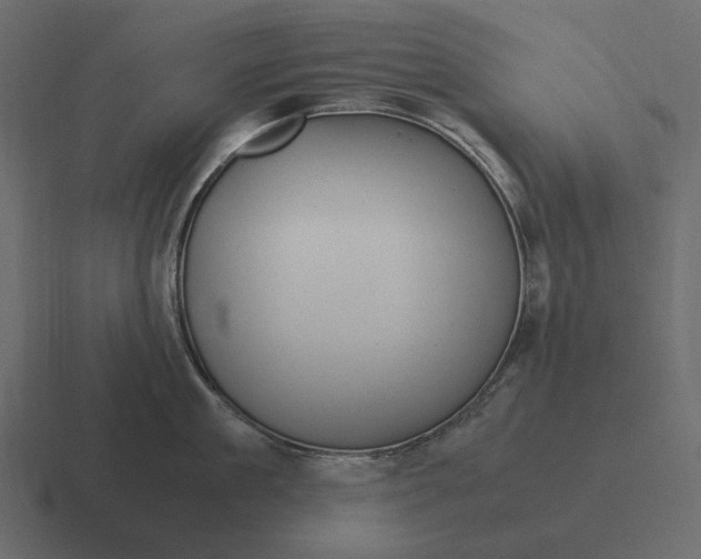 X0000116370909200912291708