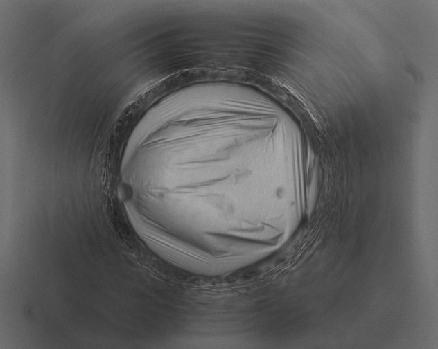 X0000116370919200912291707