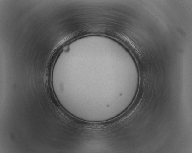 X0000116370922200912291707