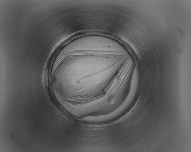 X0000116370925200912291707