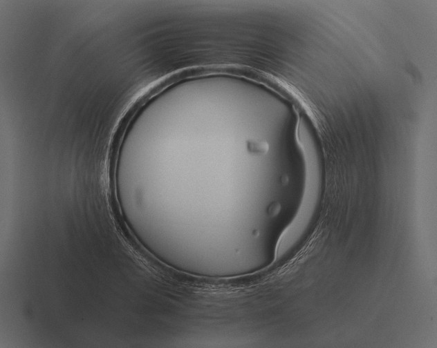 X0000116370935200912291707