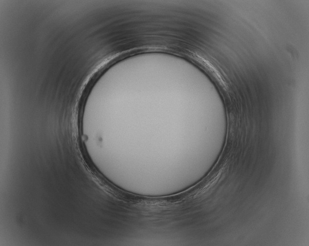 X0000116370939200912291707