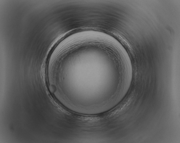 X0000116370941200912291708