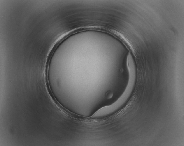 X0000116370943200912291708