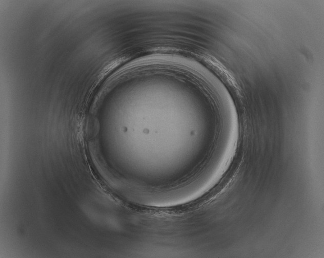 X0000116370945200912291708