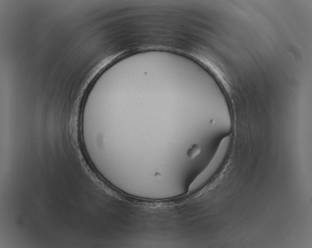 X0000116370949200912291708