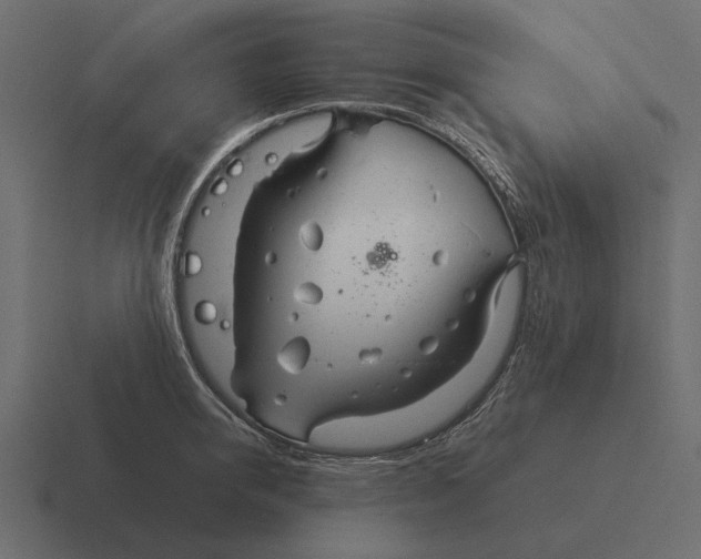 X0000116370950200912291708