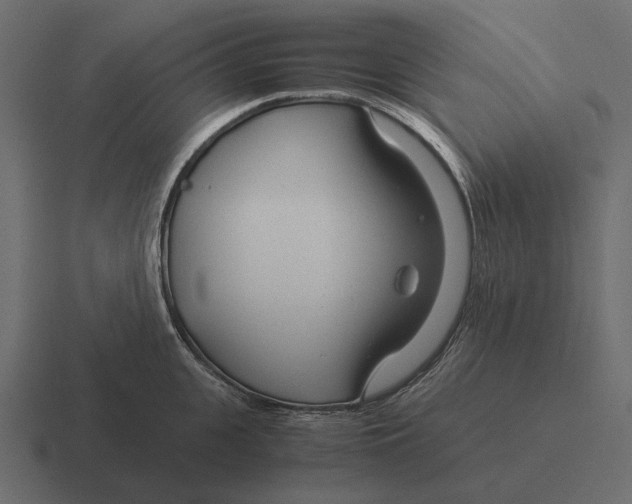 X0000116370951200912291708