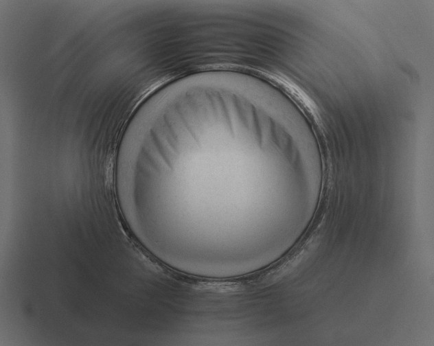 X0000116370953200912291708