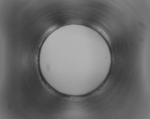 X0000116370954200912291708