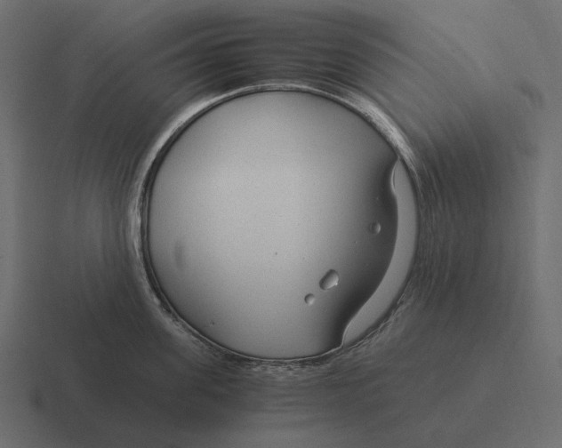 X0000116370955200912291708