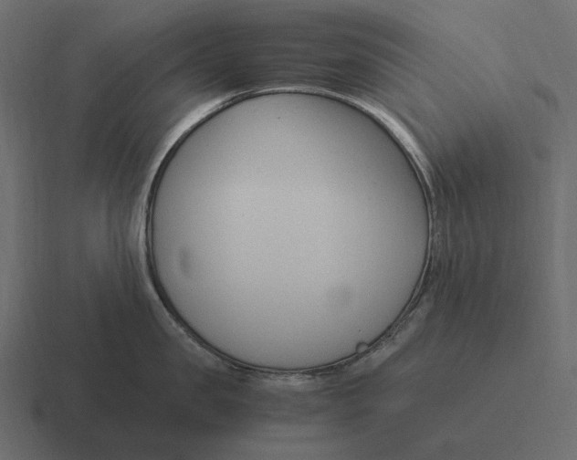 X0000116370957200912291708