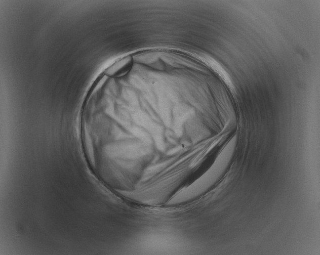 X0000116370958200912291708