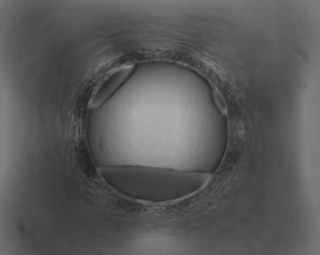 X0000116370965200912291707