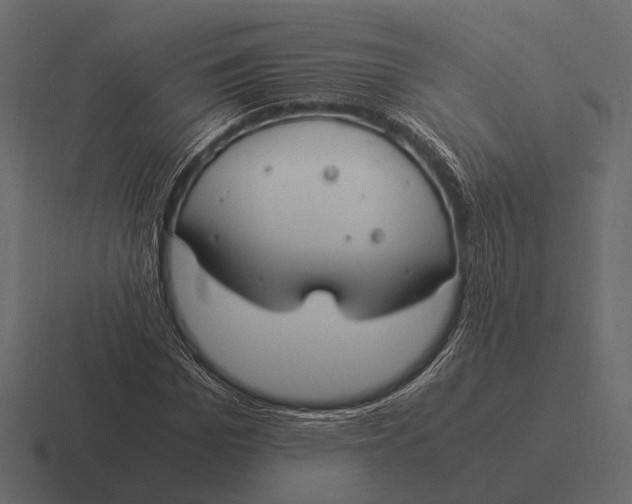 X0000116370969200912291707