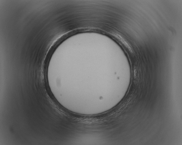 X0000116370972200912291707