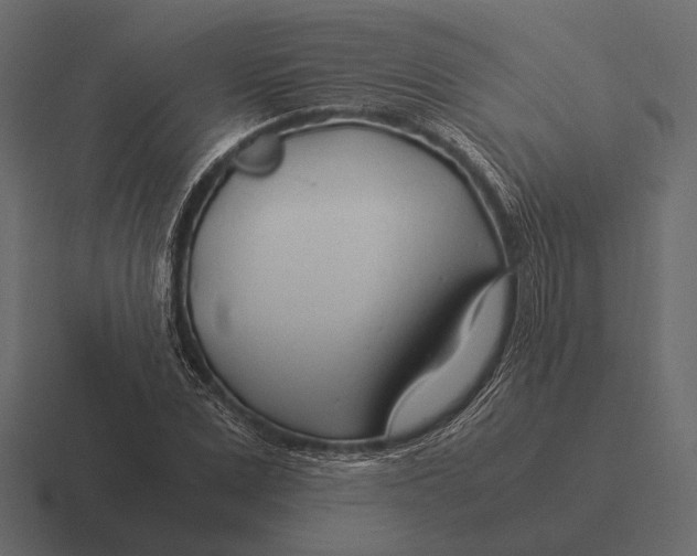 X0000116370975200912291707