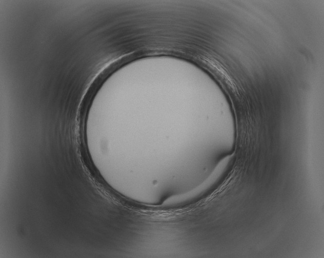 X0000116370976200912291707