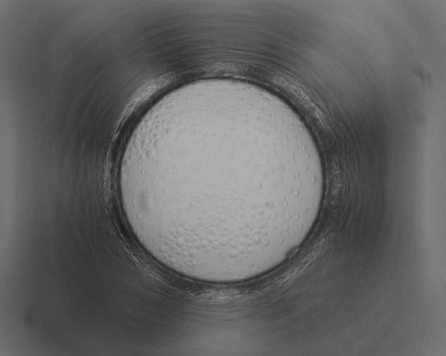 X0000116370978200912291707